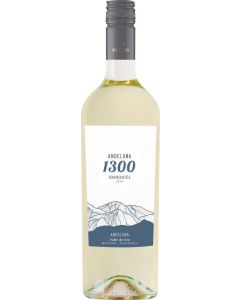 Torrontés Andeluna 1300 Tupungato Mendoza