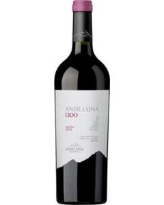 Merlot Andeluna 1300 Tupungato Mendoza