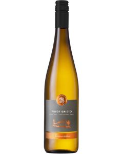 Pinot Grigio DOC